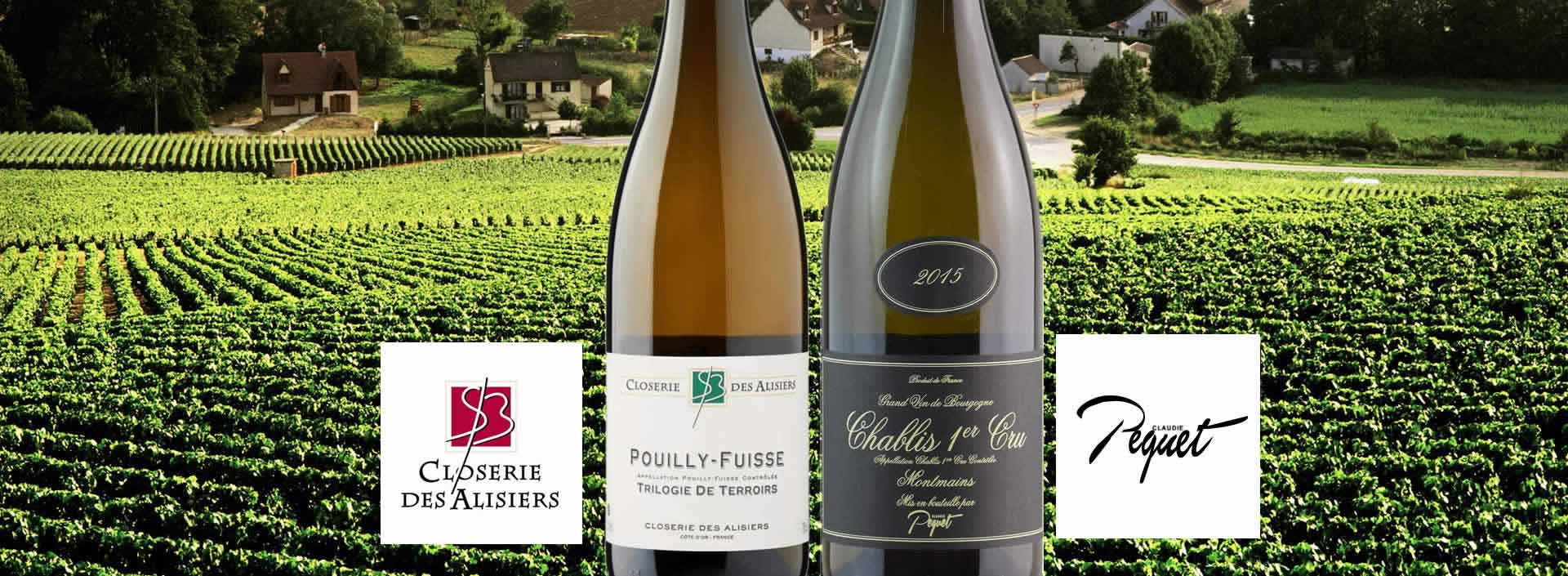 Vini bianchi Borgogna